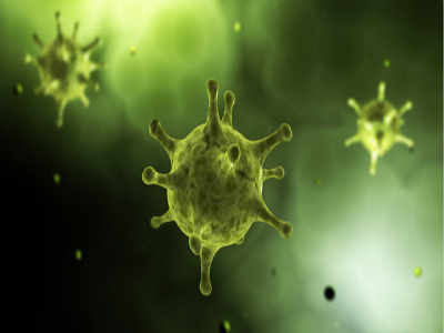 Xét nghiệm kháng thể nhanh: Coronavirus mới