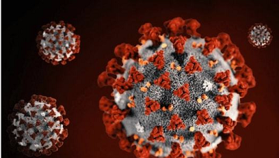 Antigen Covid-19: CDC của Mỹ dự đoán rằng hơn 44000 người có thể chết vì Covid-19 trong bốn tuần tới