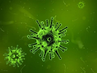 APA APA kháng nguyên nhanh: Đặc điểm virus